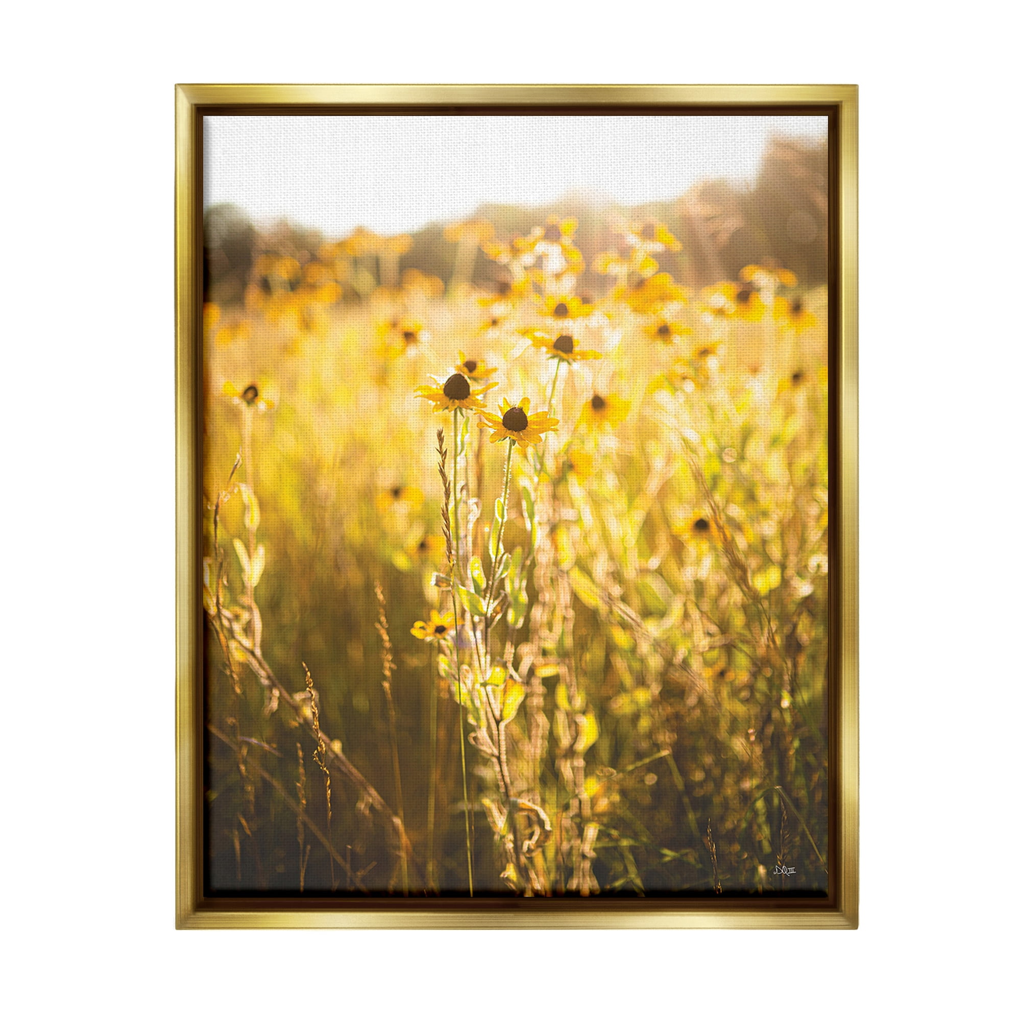 Stupell Industries Sunlit Daisy Meadow Landscape Photography Gold Floater Framed Canvas Art Print Wall Art, 25 x 31