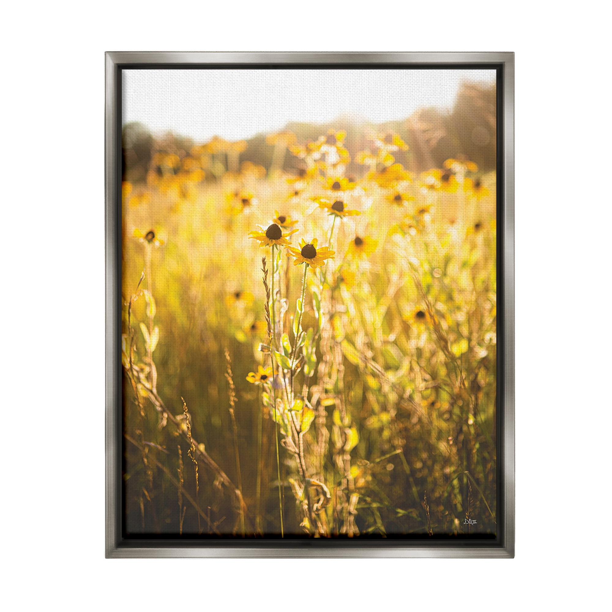 Stupell Industries Sunlit Daisy Meadow Landscape Photography Gray Floater Framed Canvas Art Print Wall Art, 25 x 31