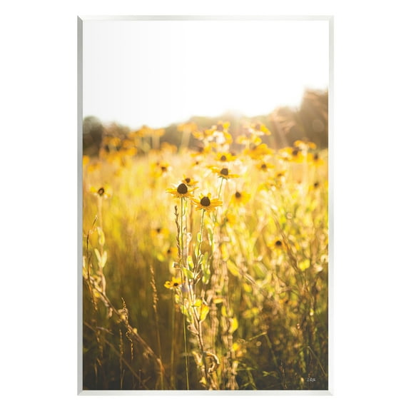 Stupell Industries Sunlit Daisy Meadow Landscape Photography Unframed Art Print Wall Art, 10 x 15