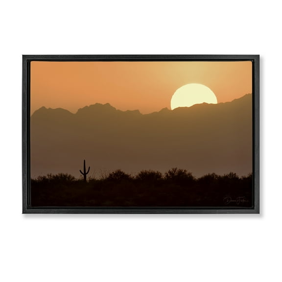 Stupell Industries Sunlit Desert Cactus Landscape & Nature Photography Black Floater Framed Canvas Art Print Wall Art, 25 x 17
