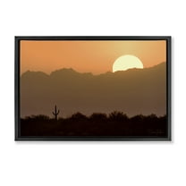 Stupell Industries Sunlit Desert Cactus Landscape & Nature Photography Black Floater Framed Canvas Art Print Wall Art, 25 x 17
