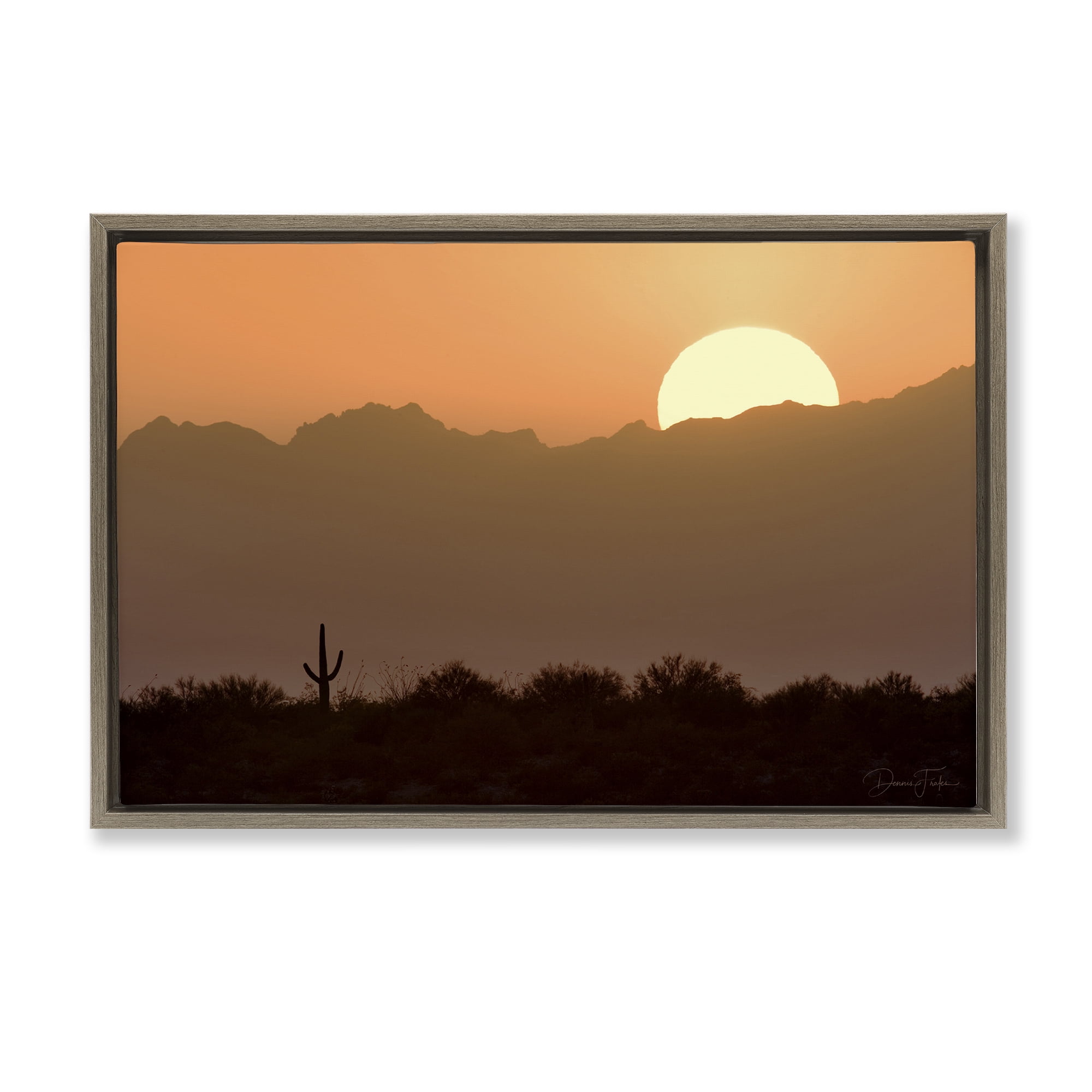 Stupell Industries Sunlit Desert Cactus Landscape & Nature Photography Brown Floater Framed Canvas Art Print Wall Art, 31 x 21