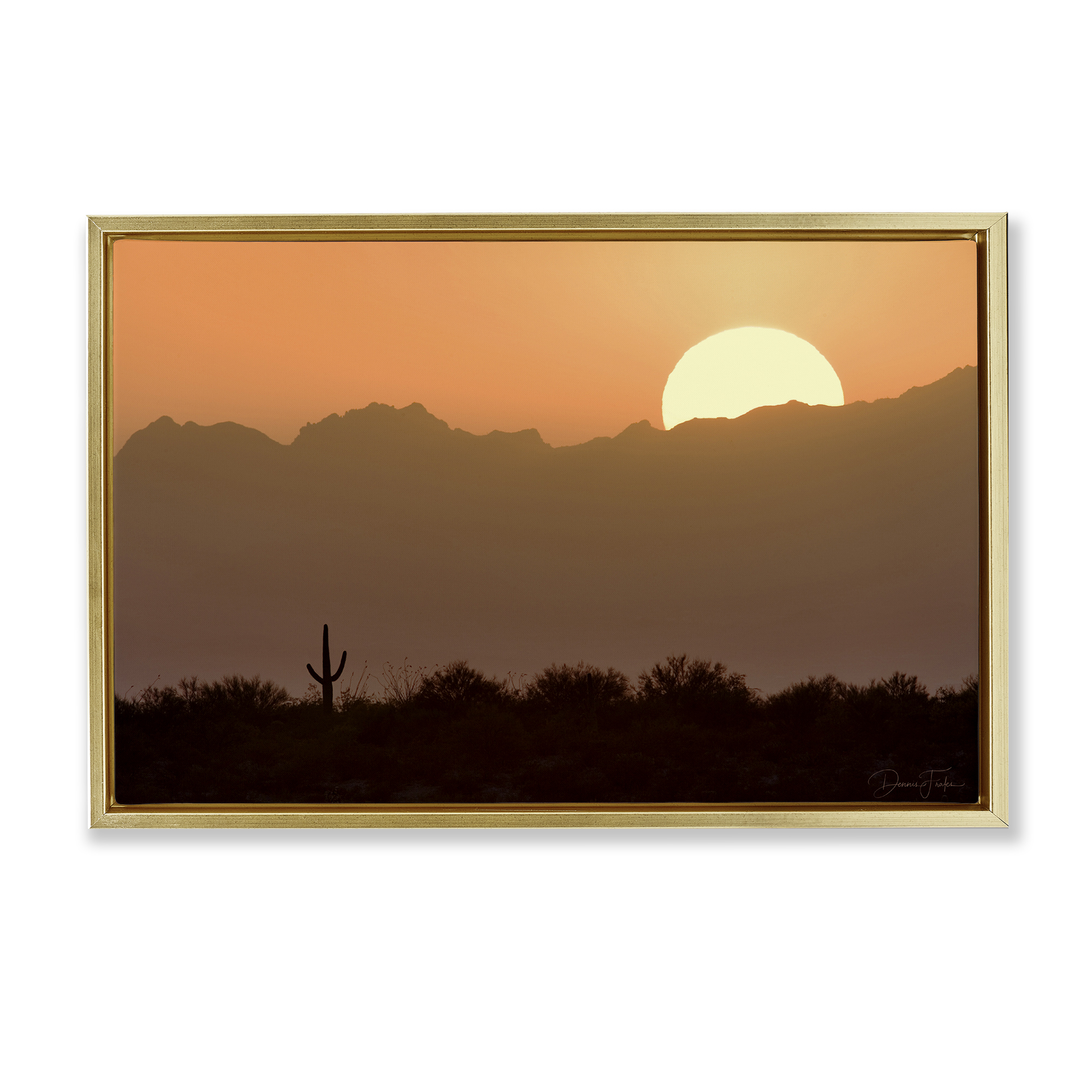 Stupell Industries Sunlit Desert Cactus Landscape & Nature Photography Gold Floater Framed Canvas Art Print Wall Art, 31 x 21
