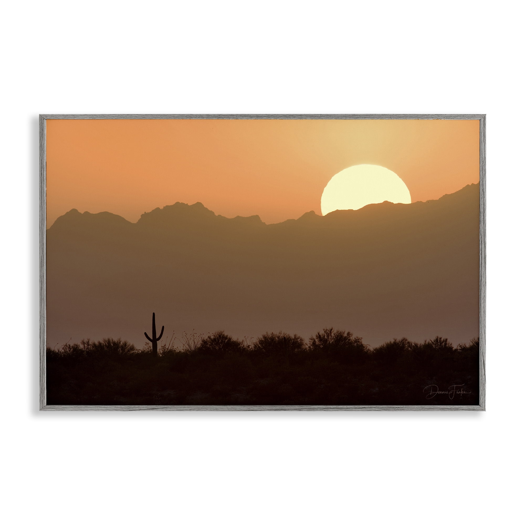 Stupell Industries Sunlit Desert Cactus Landscape & Nature Photography Gray Framed Art Print Wall Art, 24 x 16
