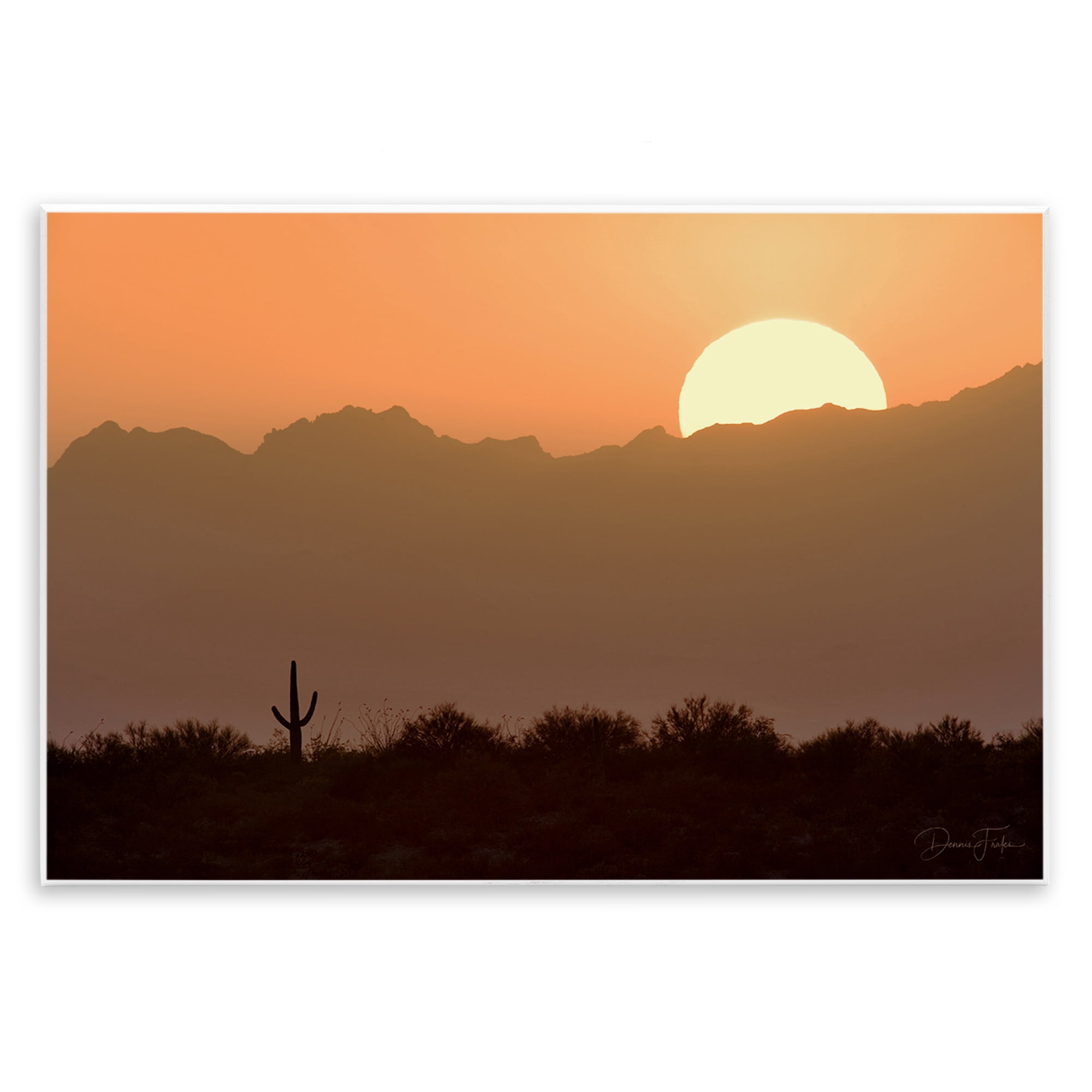 Stupell Industries Sunlit Desert Cactus Landscape & Nature Photography Unframed Art Print Wall Art, 15 x 10