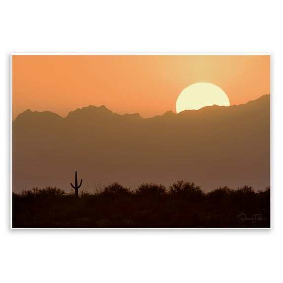 Stupell Industries Sunlit Desert Cactus Landscape & Nature Photography Unframed Art Print Wall Art, 19 x 13