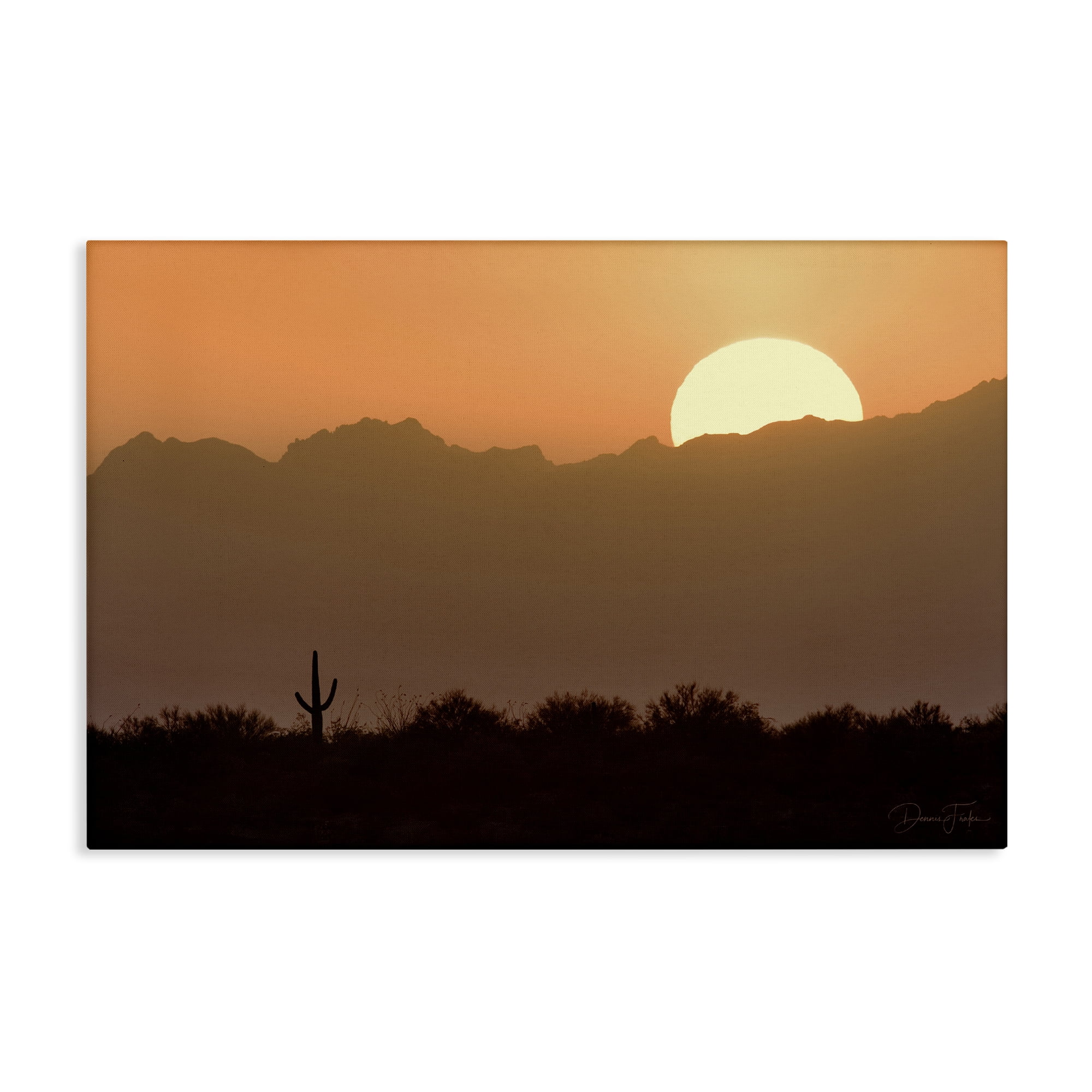 Stupell Industries Sunlit Desert Cactus Landscape & Nature Photography Wrapped Canvas Art Print Wall Art, 36 x 24