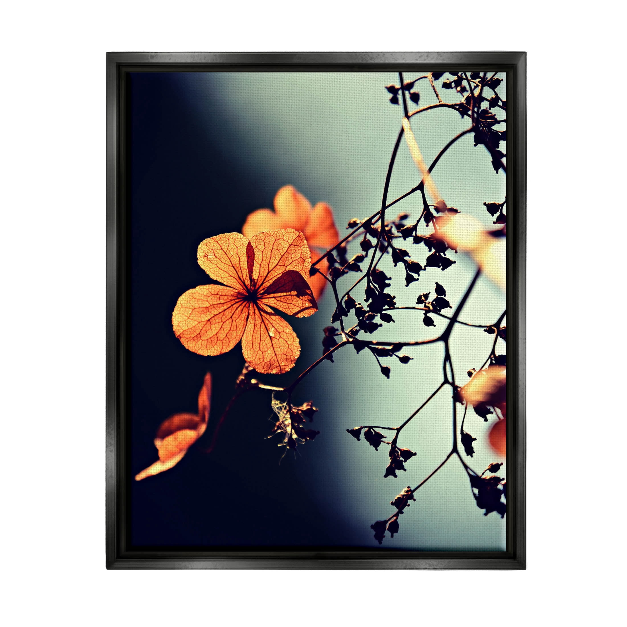 Stupell Industries Sunlit Detailed Floral Petals Photograph Jet Black Floating Framed Canvas Print Wall Art, Design by Lil' Rue