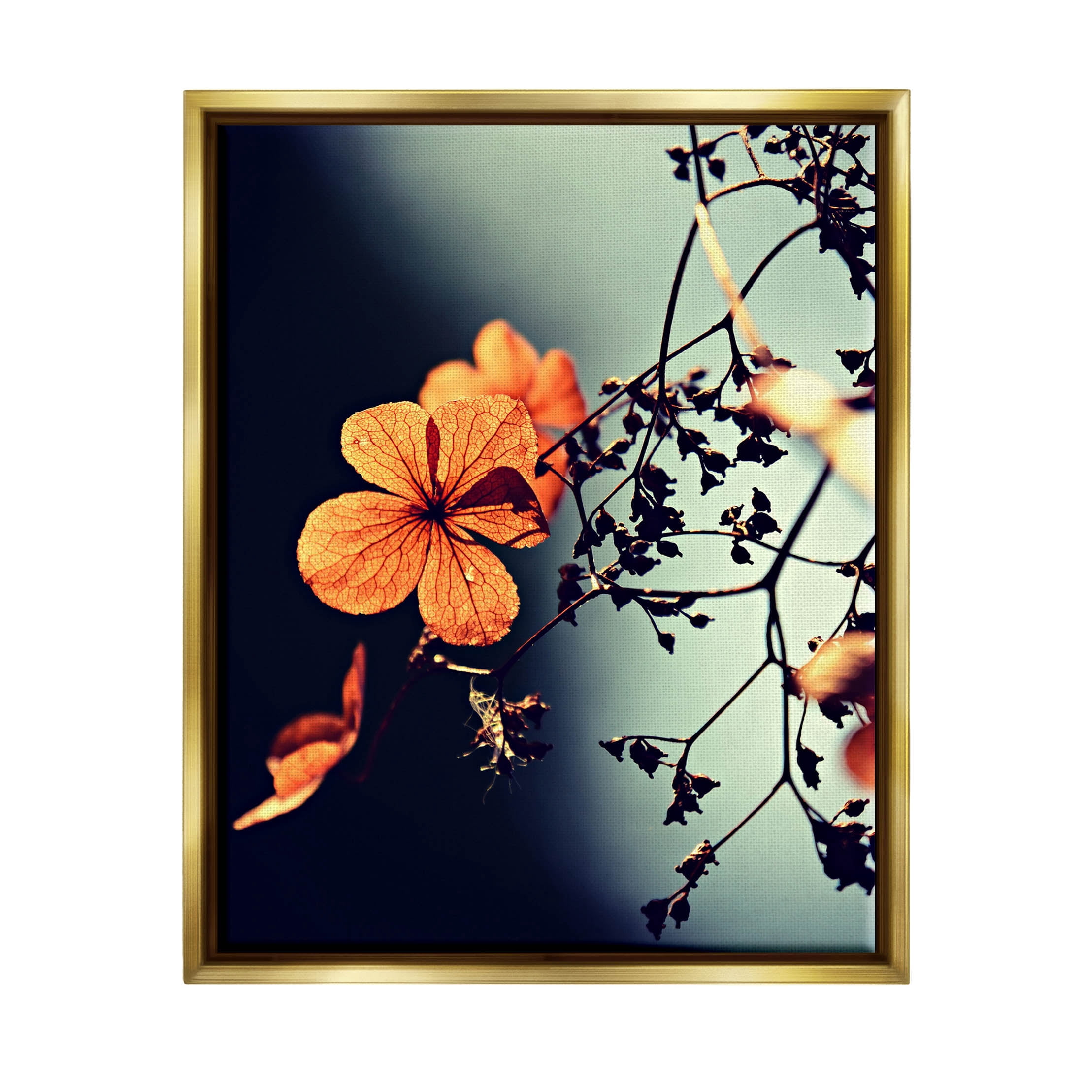 Stupell Industries Sunlit Detailed Floral Petals Photograph Metallic Gold Floating Framed Canvas Print Wall Art, Design by Lil' Rue