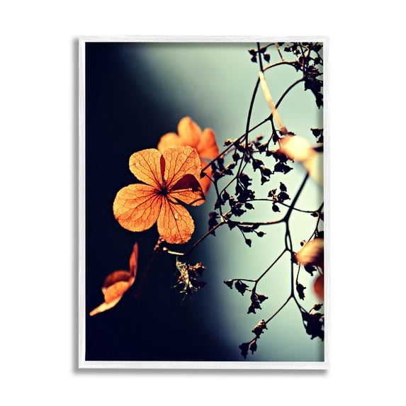 Stupell Industries Sunlit Detailed Floral Petals Photograph White Framed Art Print Wall Art, Design by Lil' Rue
