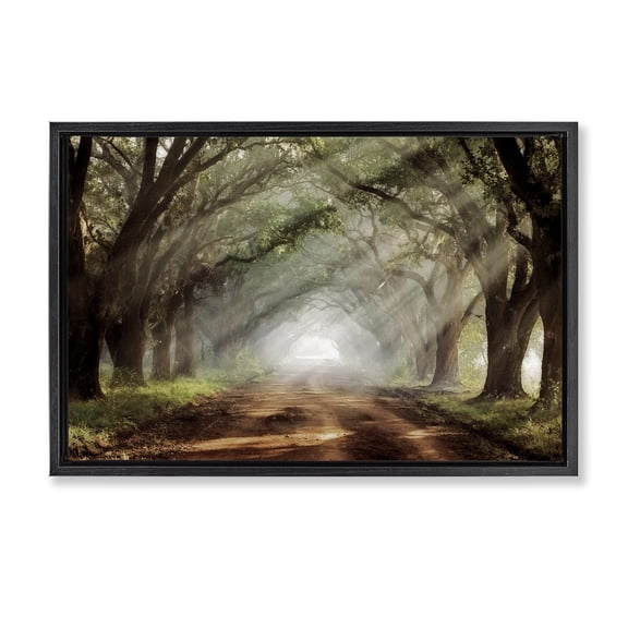 Stupell Industries French Country Sunlit Evergreen Grove Black Floating Frame Canvas Art, 25 x 17, by Mike Jones