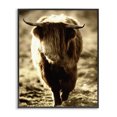 thumbnail image 1 of Stupell Industries Farmhouse Sunlit Highland Longhorn Cattle Wandering Rural Countryside Black Framed Giclee Art, 11 x 14, by James Dobson, 1 of 7