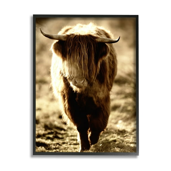 Stupell Industries Sunlit Highland Longhorn Cattle Wandering Rural Countryside Photograph Black Framed Art Print Wall Art, Design by James Dobson