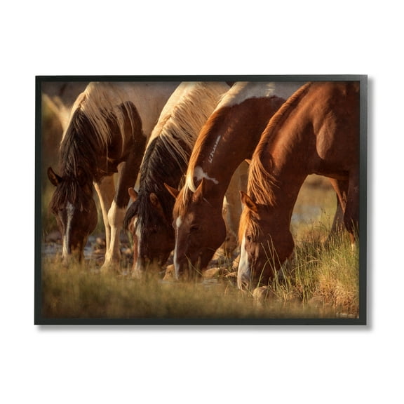 Stupell Industries Sunlit Horses Drinking Water Wildlife Nature Scene Photograph Black Framed Art Print Wall Art, Design by Jan Walters