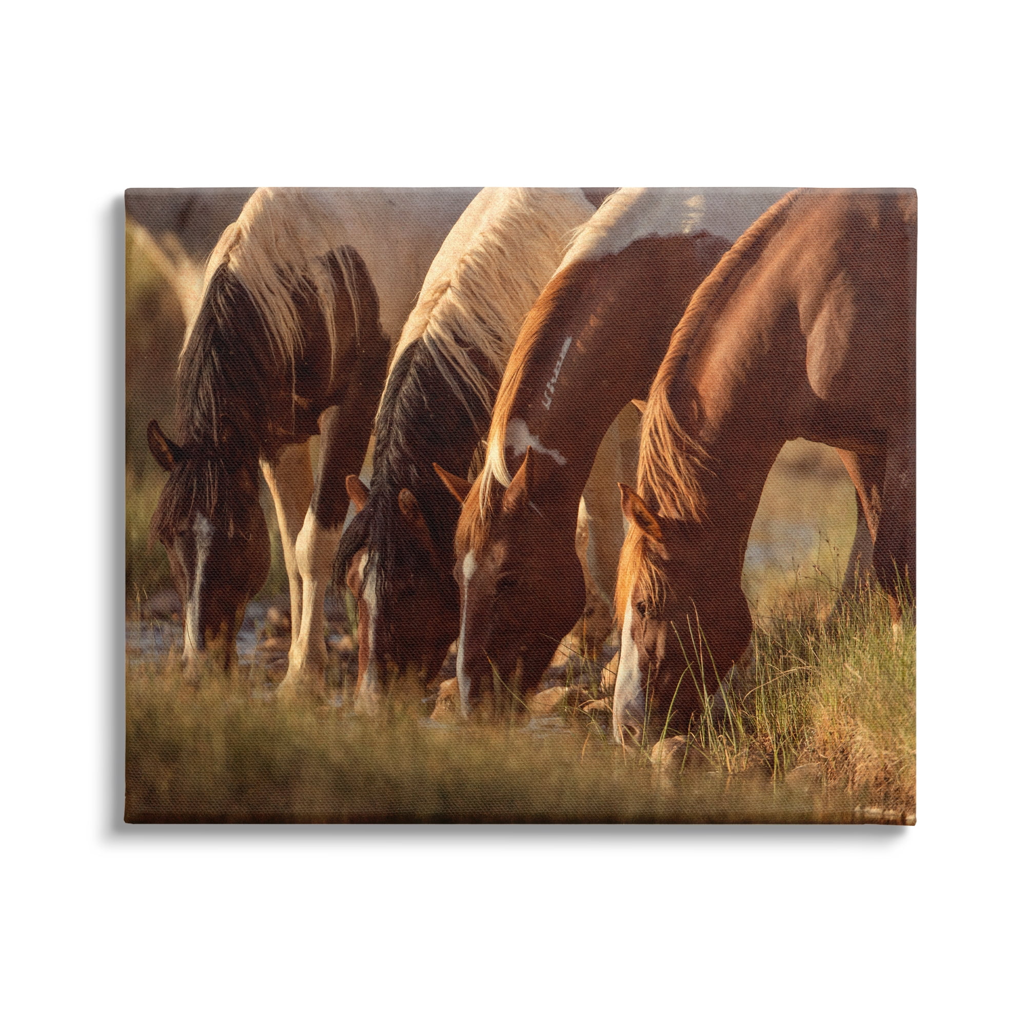 Stupell Industries Sunlit Horses Drinking Water Wildlife Nature Scene Photograph Gallery Wrapped Canvas Print Wall Art, Design by Jan Walters