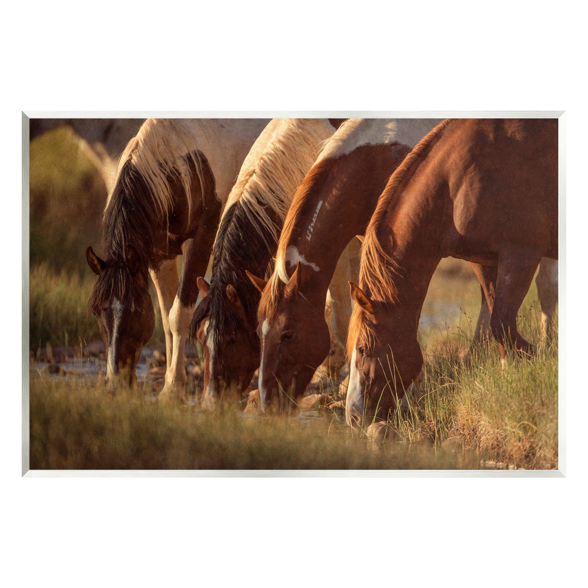 Stupell Industries Sunlit Horses Drinking Water Wildlife Nature Scene ...