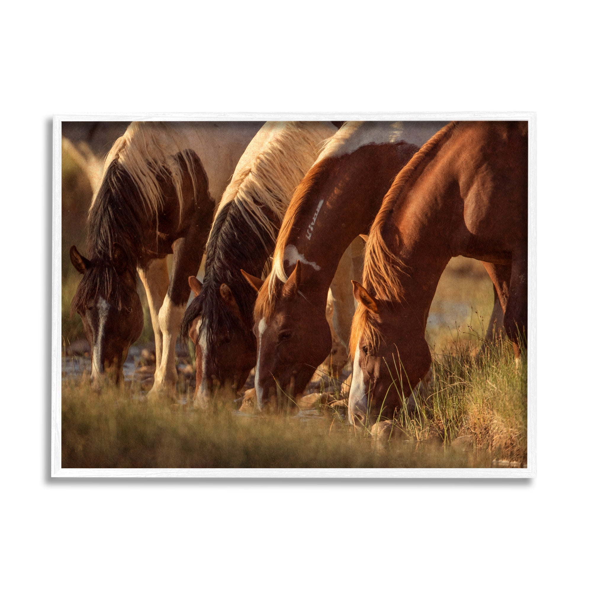 Stupell Industries Sunlit Horses Drinking Water Wildlife Nature Scene Photograph White Framed Art Print Wall Art, Design by Jan Walters