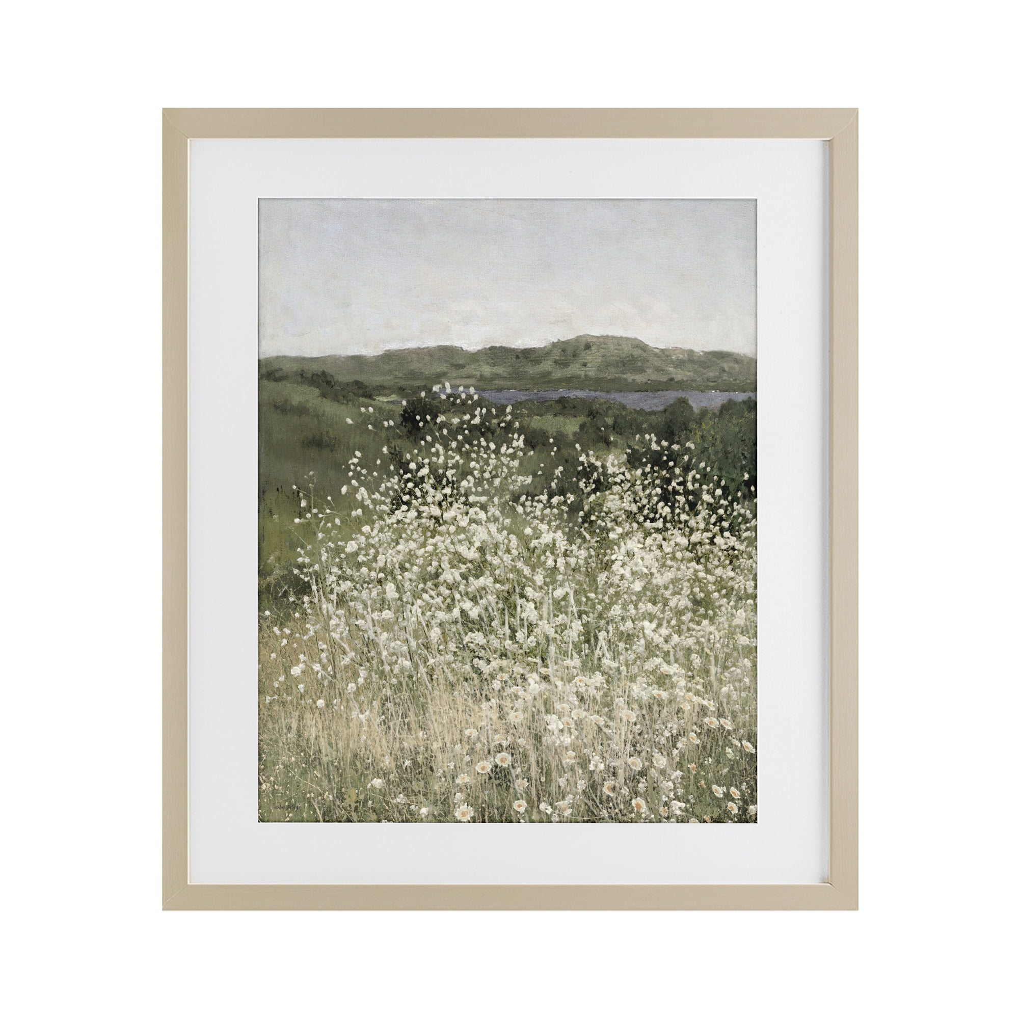 Stupell Industries Sunlit Meadow of White Daisies Birch Framed Print Under Glass, design by Amber Sterling