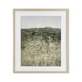 thumbnail image 1 of Stupell Industries French Country Sunlit Meadow of White Daisies Birch Framed Print Under Glass, 13 x 16, by Amber Sterling, 1 of 8