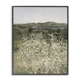 thumbnail image 1 of Stupell Industries French Country Sunlit Meadow of White Daisies Black Framed Giclee Art, 16 x 20, by Amber Sterling, 1 of 8