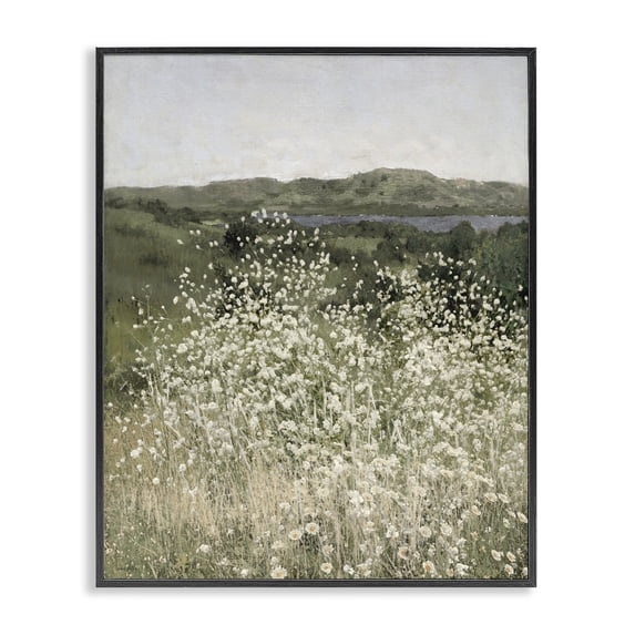 Stupell Industries French Country Sunlit Meadow of White Daisies Black Framed Giclee Art, 16 x 20, by Amber Sterling