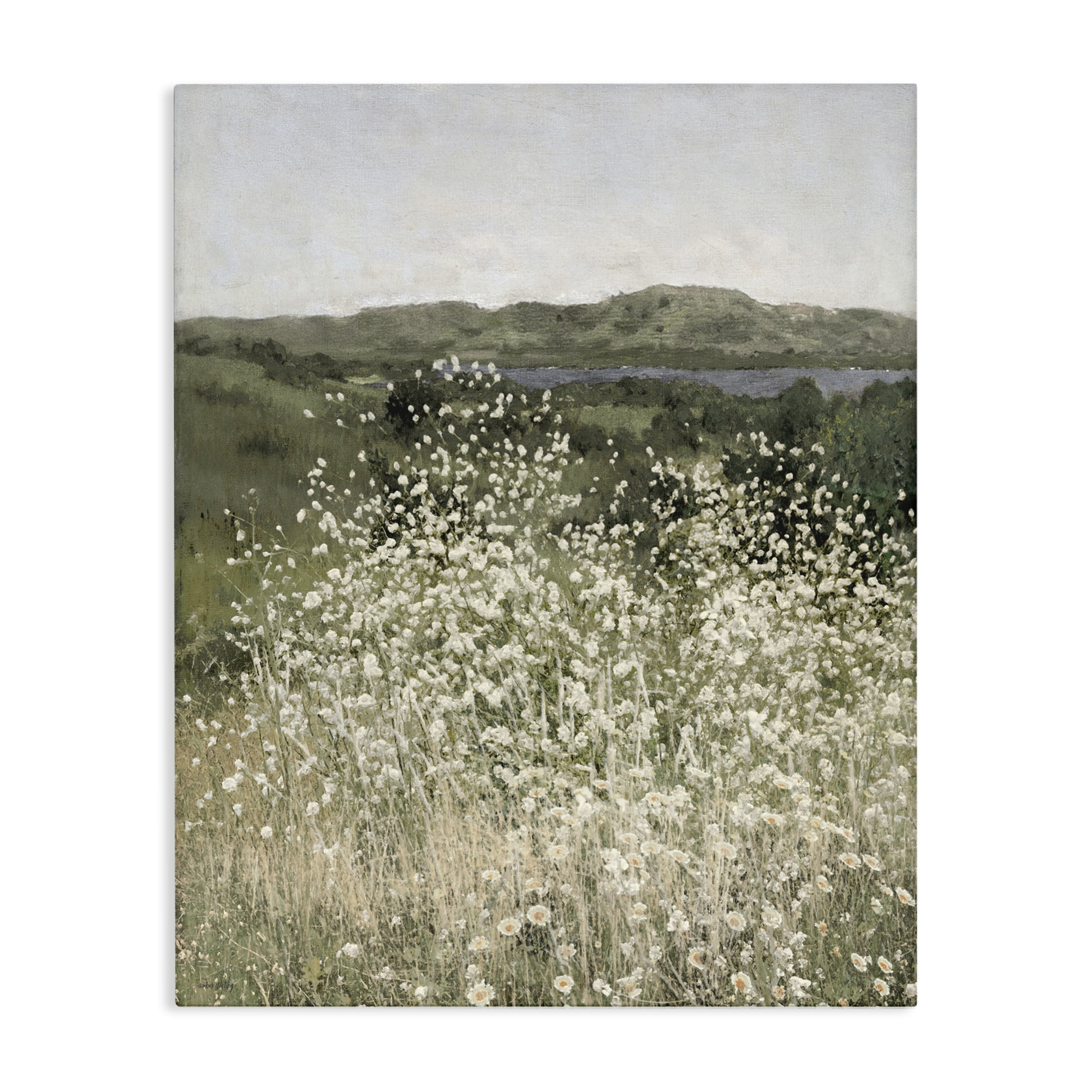 Stupell Industries Sunlit Meadow of White Daisies Canvas Wall Art, design by Amber Sterling