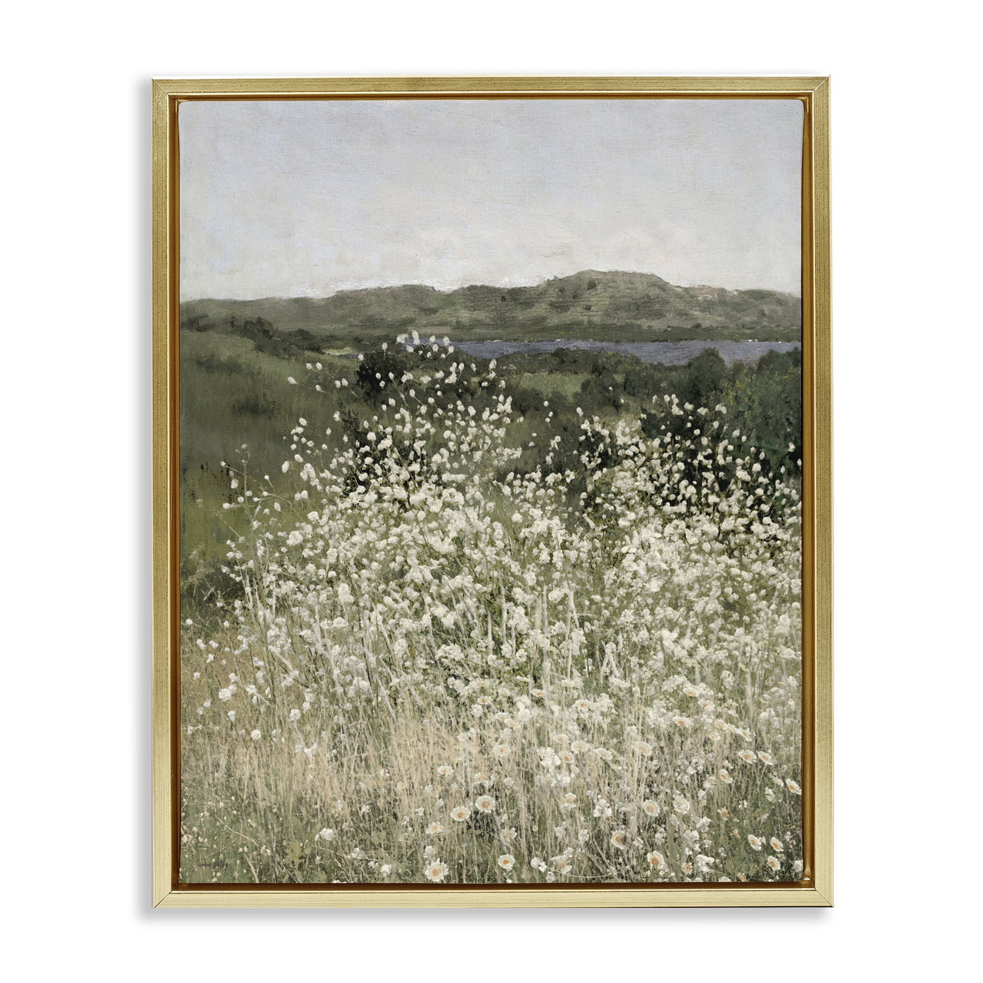 Stupell Industries Sunlit Meadow of White Daisies Gold Framed Floater Canvas Wall Art, design by Amber Sterling