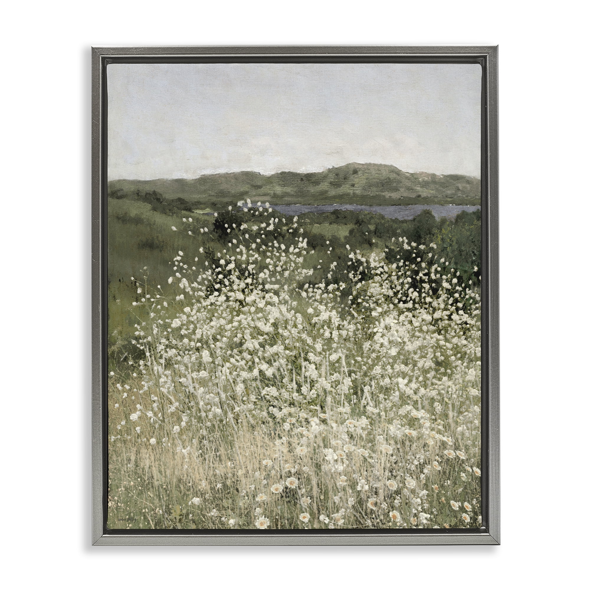 Stupell Industries Sunlit Meadow of White Daisies Gray Framed Floater Canvas Wall Art, design by Amber Sterling