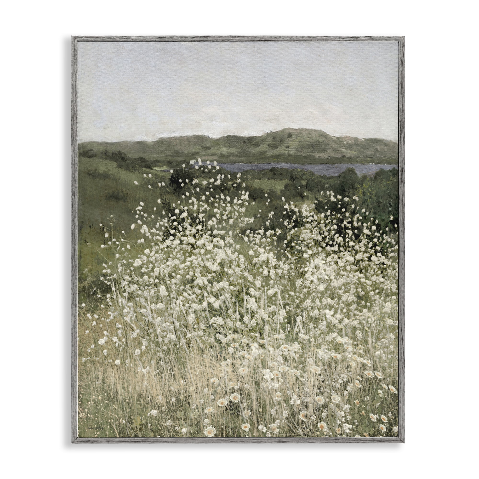 Stupell Industries Sunlit Meadow of White Daisies Gray Framed Giclee Art, design by Amber Sterling