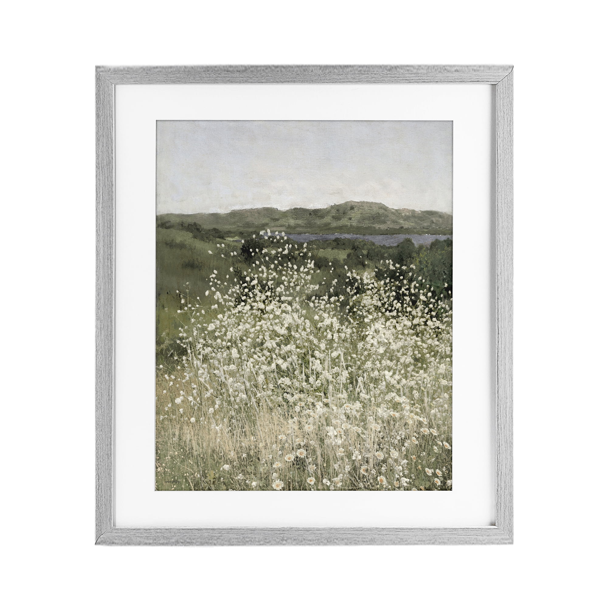 Stupell Industries Sunlit Meadow of White Daisies Gray Framed Print Under Glass, design by Amber Sterling