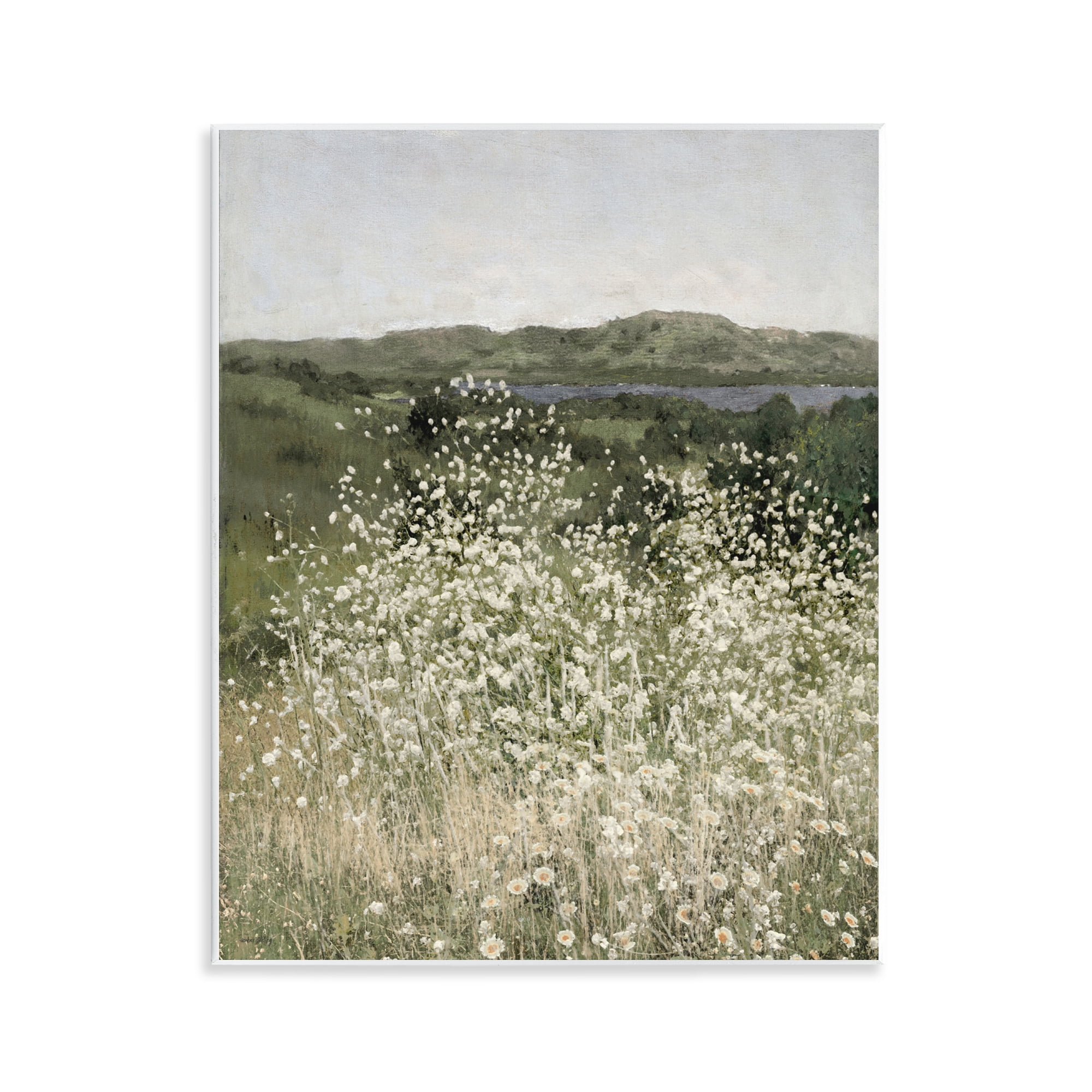Stupell Industries Sunlit Meadow of White Daisies Wall Plaque Art, design by Amber Sterling