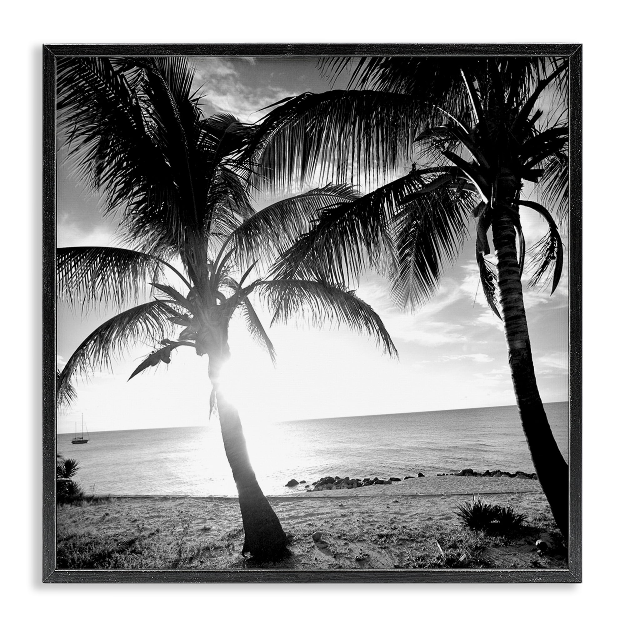 Stupell Industries Sunlit Palm Silhouettes Coastal Photography Black Framed Art Print Wall Art, 17 x 17