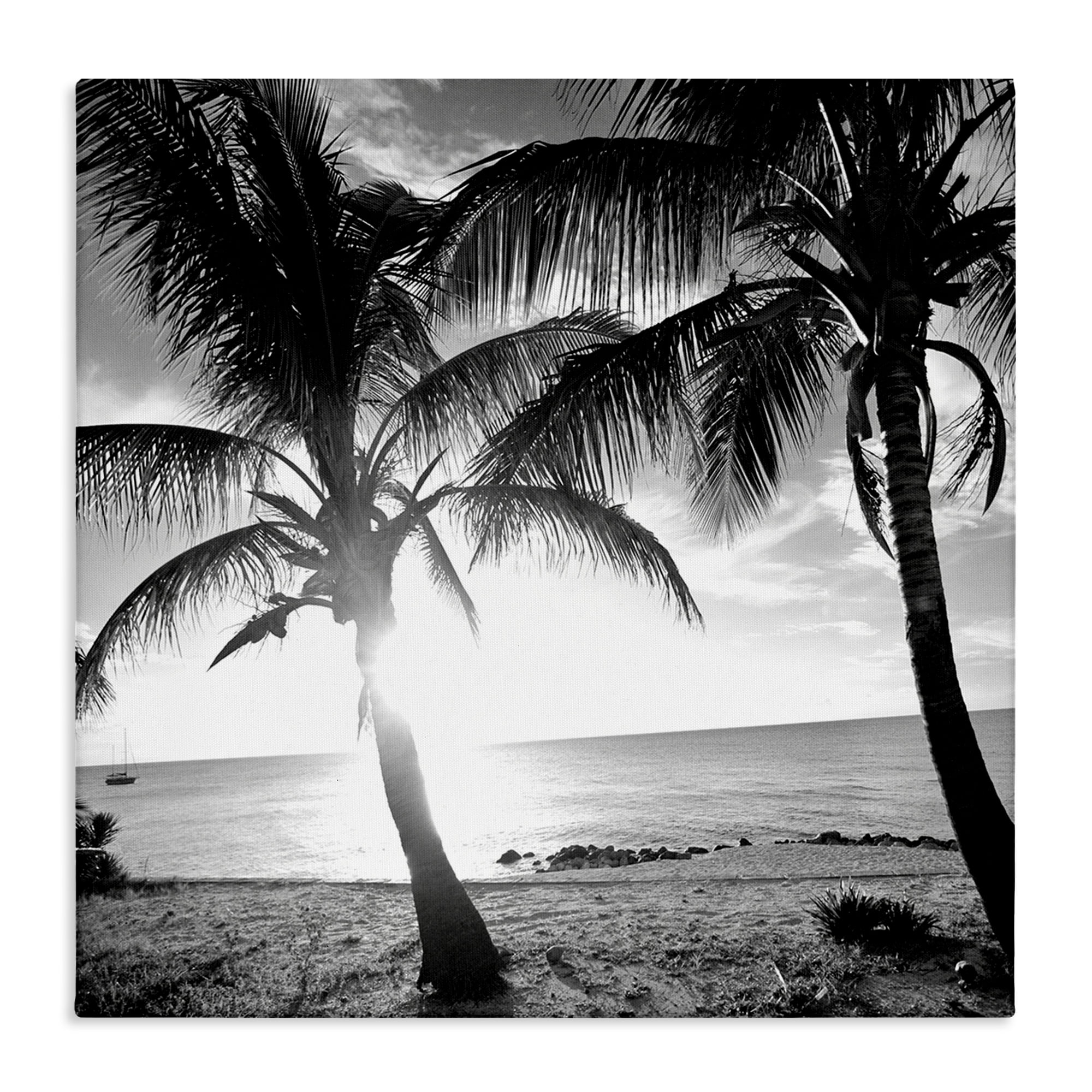 Sunlit Palm Silhouettes Black and White Canvas Print, 17 x 17