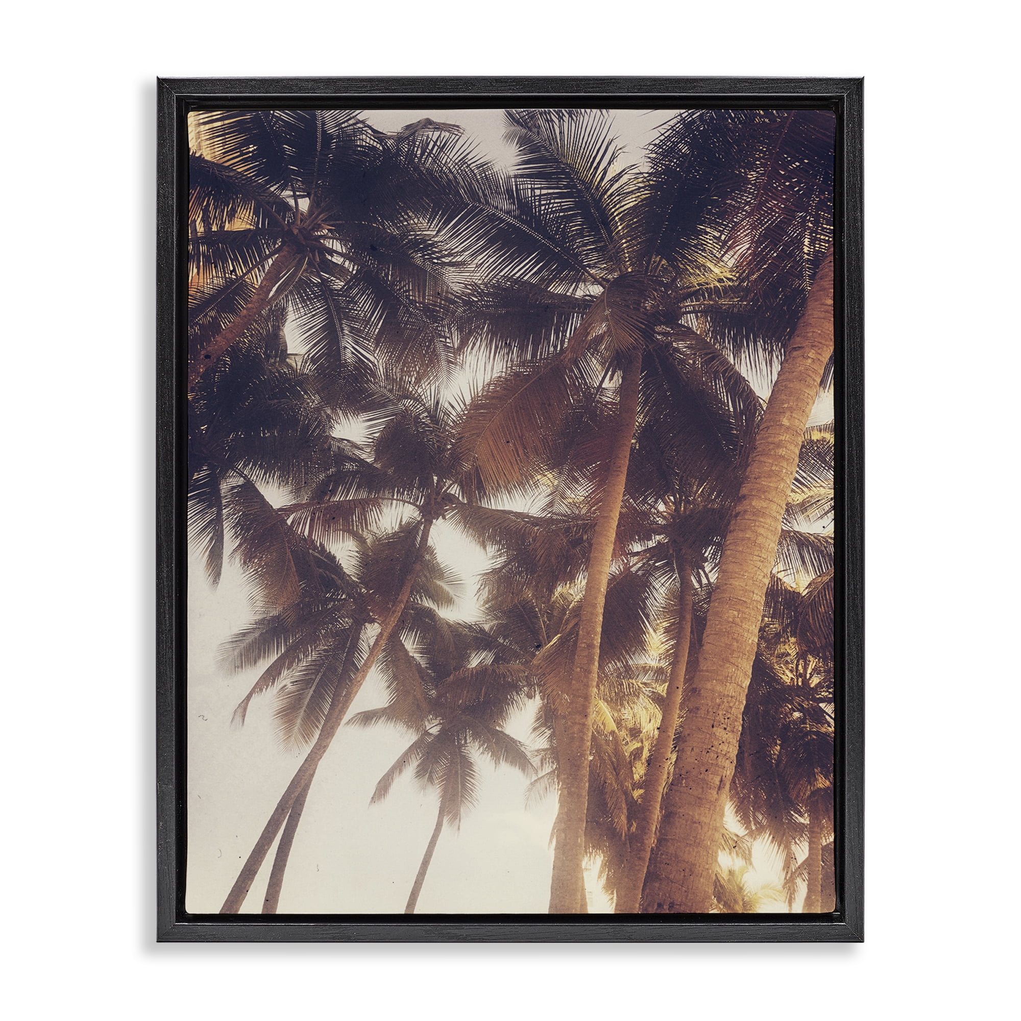 Stupell Industries Sunlit Palm Tree Plants & Flowers Photography Black Floater Framed Canvas Art Print Wall Art, 17 x 21