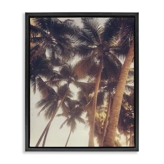 Stupell Industries Sunlit Palm Tree Plants & Flowers Photography Black Floater Framed Canvas Art Print Wall Art, 17 x 21