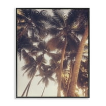 Stupell Industries Sunlit Palm Tree Plants & Flowers Photography Black Framed Art Print Wall Art, 11 x 14