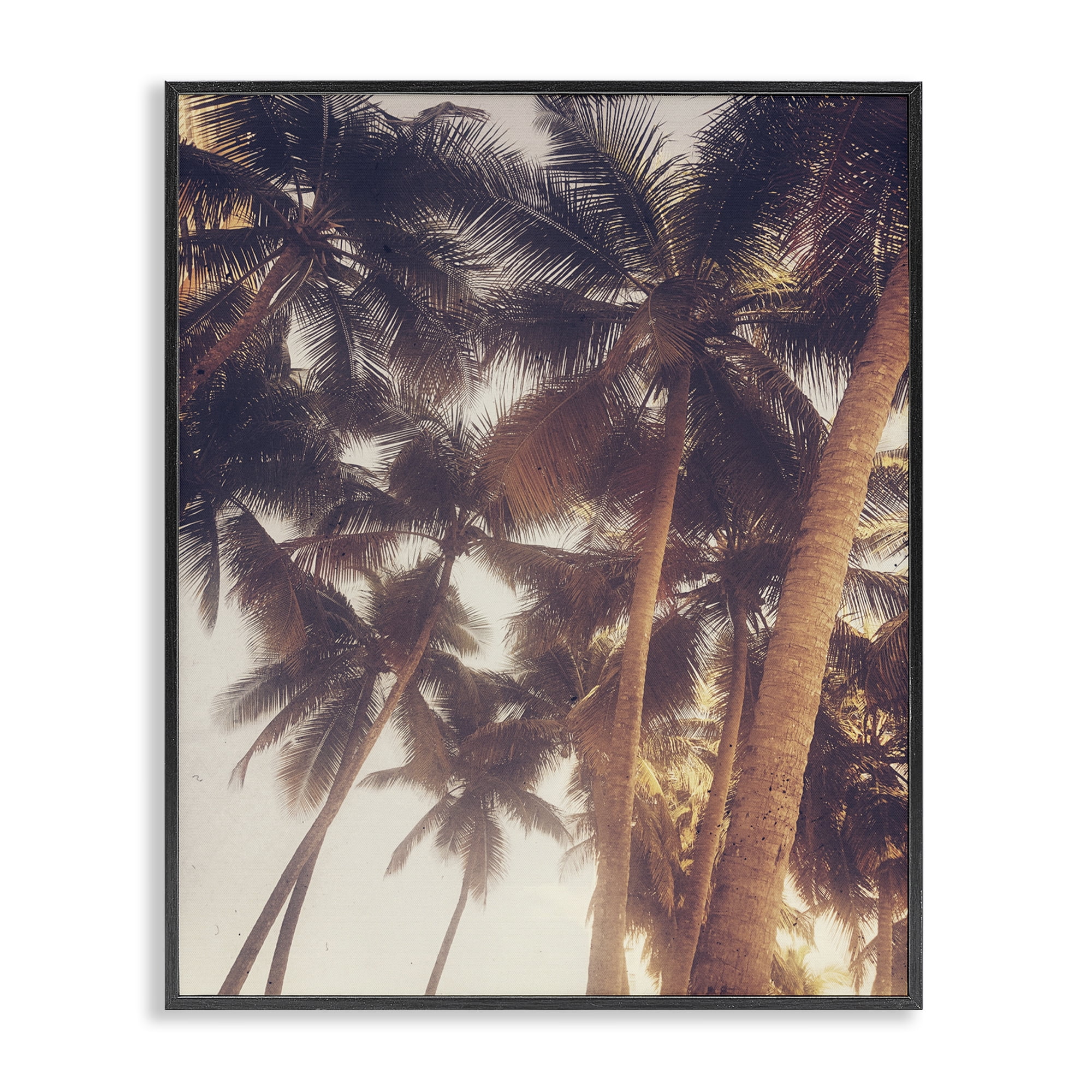 Stupell Industries Sunlit Palm Tree Plants & Flowers Photography Black Framed Art Print Wall Art, 24 x 30