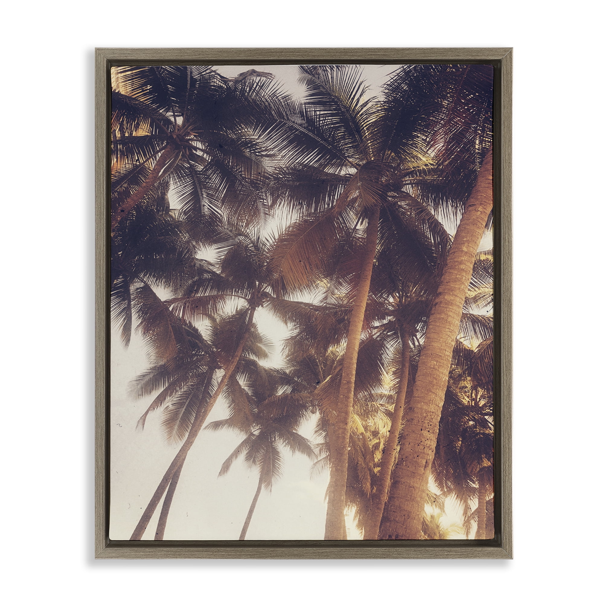 Stupell Industries Sunlit Palm Tree Plants & Flowers Photography Brown Floater Framed Canvas Art Print Wall Art, 25 x 31