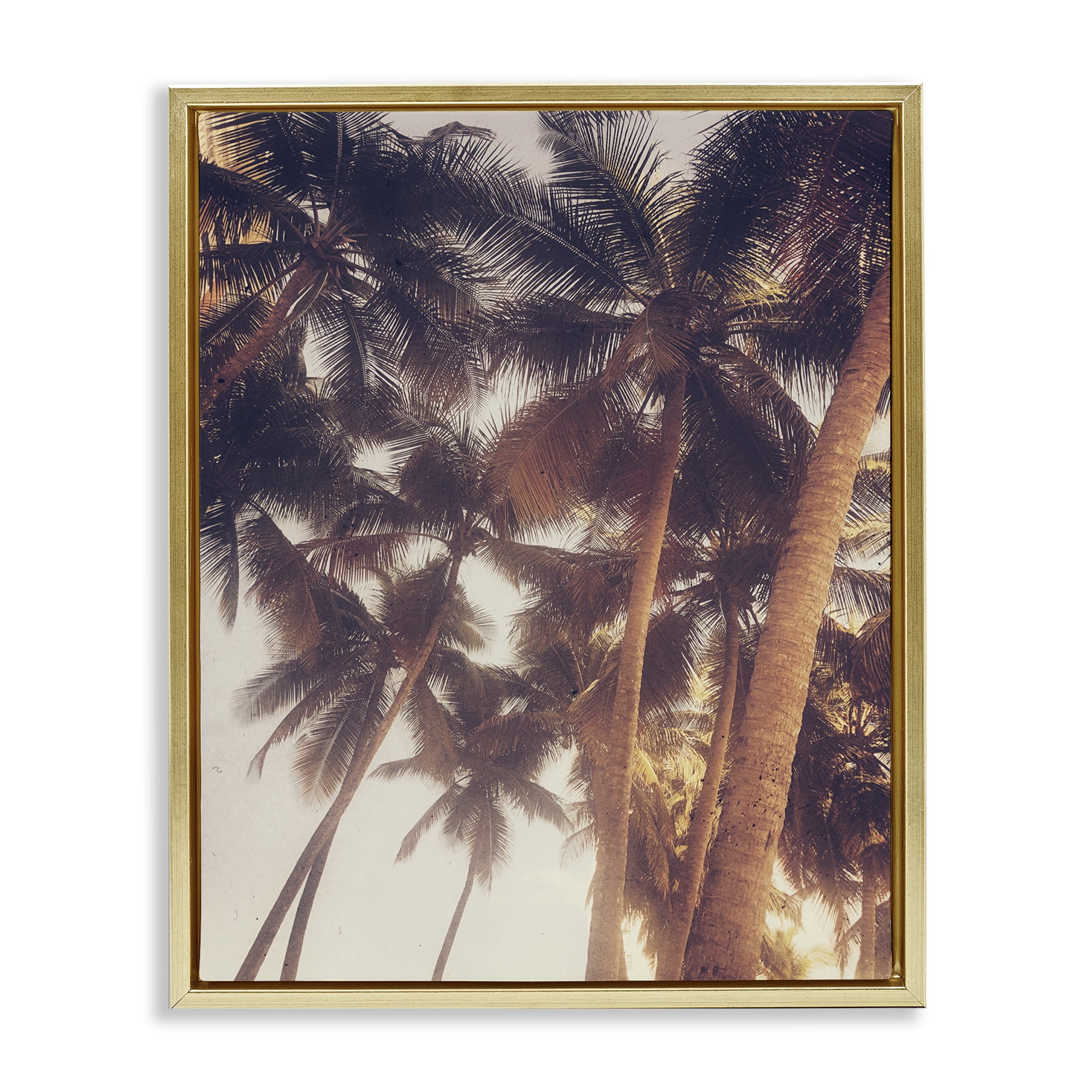 Stupell Industries Sunlit Palm Tree Plants & Flowers Photography Gold Floater Framed Canvas Art Print Wall Art, 25 x 31
