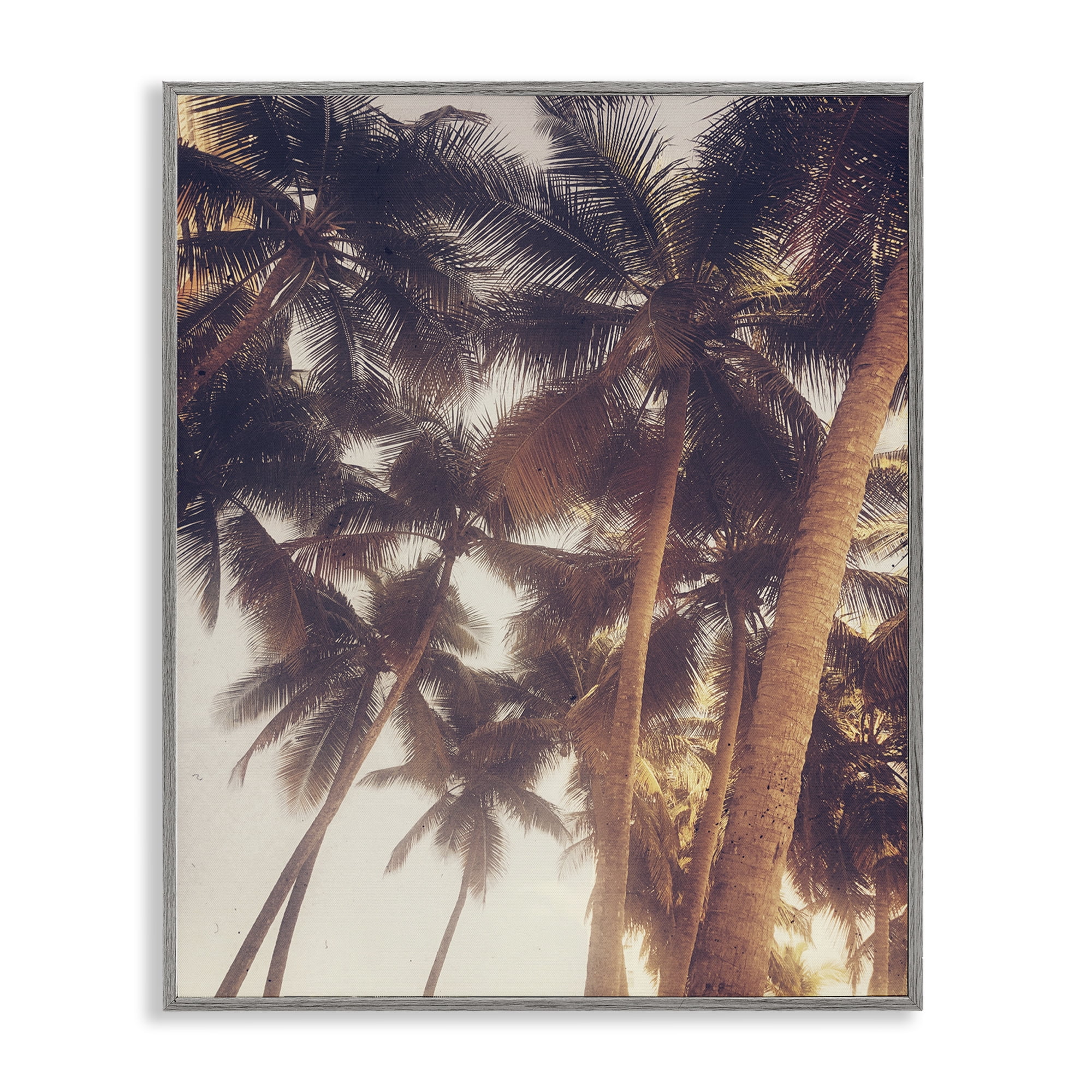 Stupell Industries Sunlit Palm Tree Plants & Flowers Photography Gray Framed Art Print Wall Art, 11 x 14