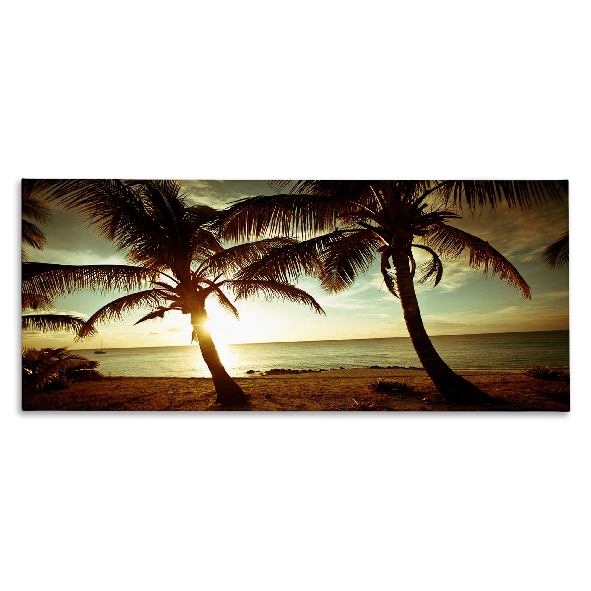 Sunlit Palm Trees Tropical Coastal Canvas Print, 48 x 20
