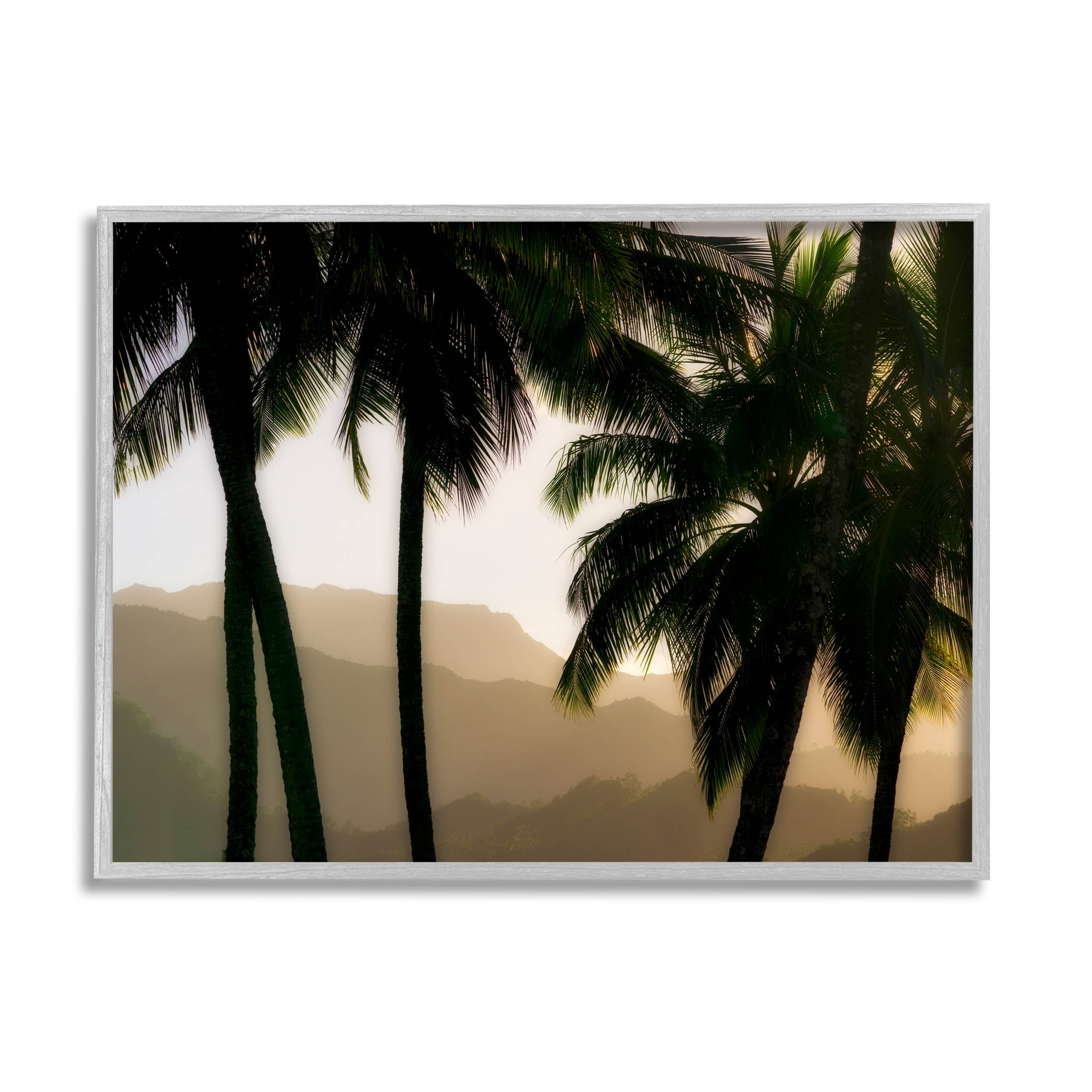 Stupell Industries Sunlit Palm Trees Mountain Peaks Photograph Gray Framed Art Print Wall Art, Design by Dennis Frates