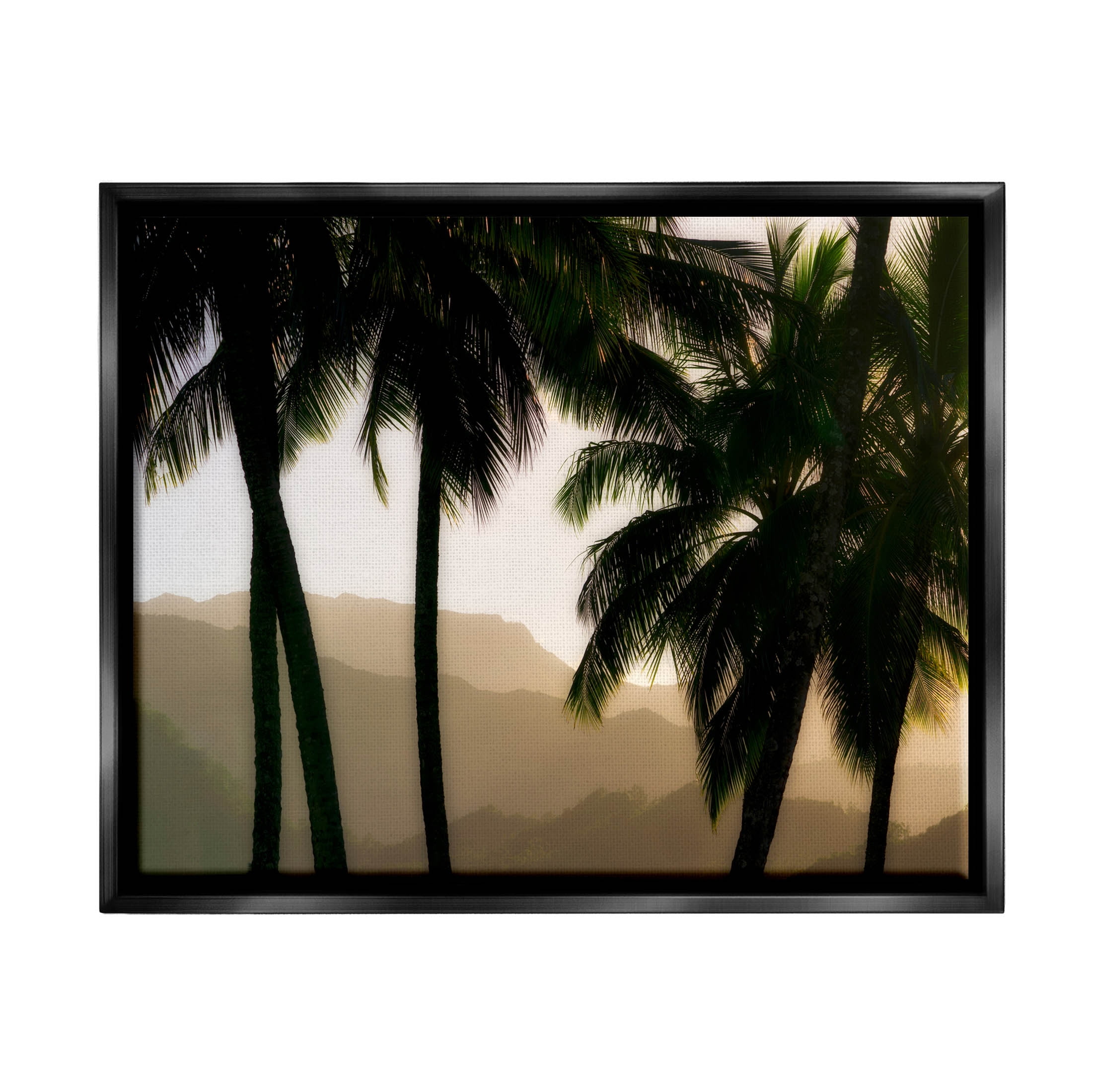 Stupell Industries Sunlit Palm Trees Mountain Peaks Photograph Jet Black Floating Framed Canvas Print Wall Art, Design by Dennis Frates