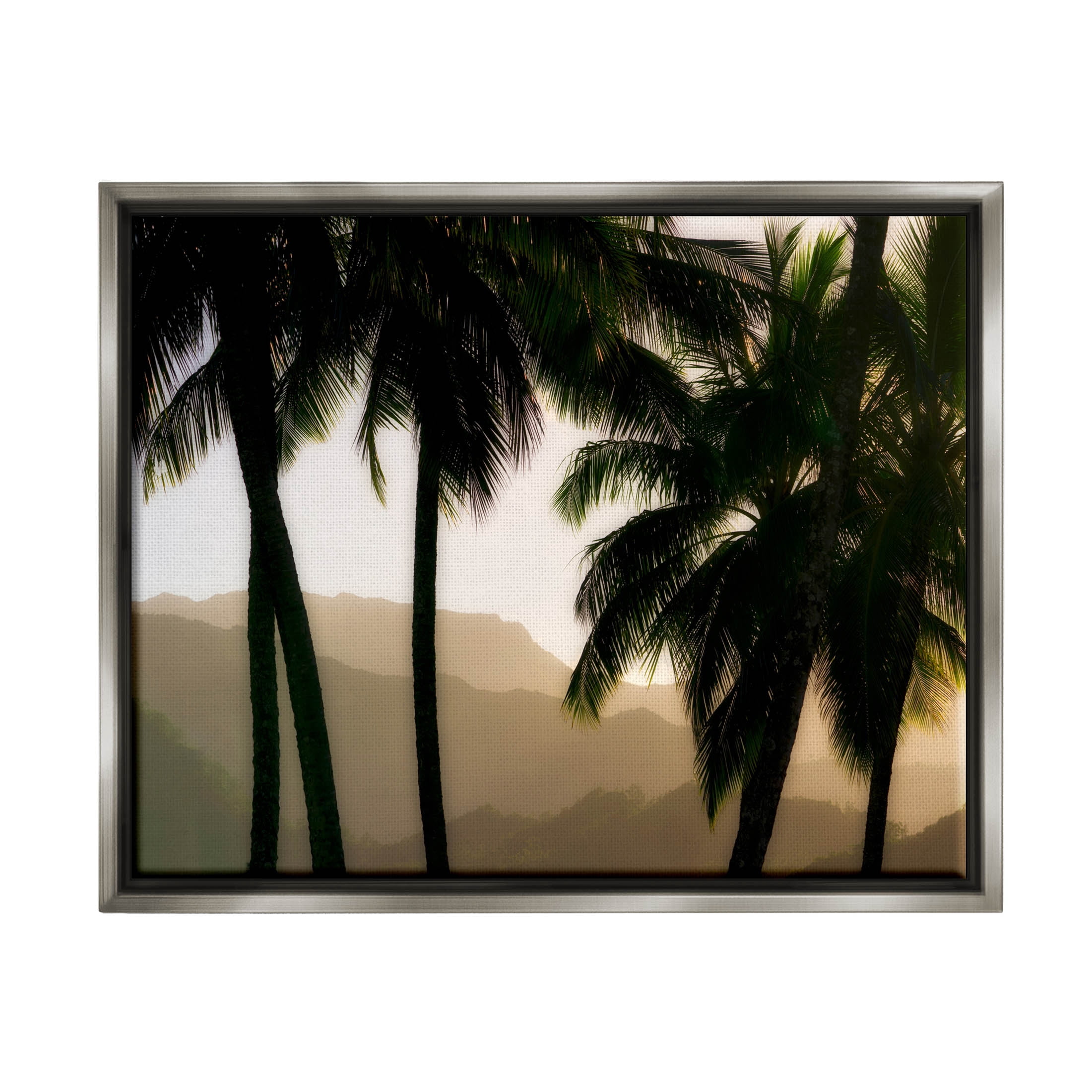 Stupell Industries Sunlit Palm Trees Mountain Peaks Photograph Luster Gray Floating Framed Canvas Print Wall Art, Design by Dennis Frates