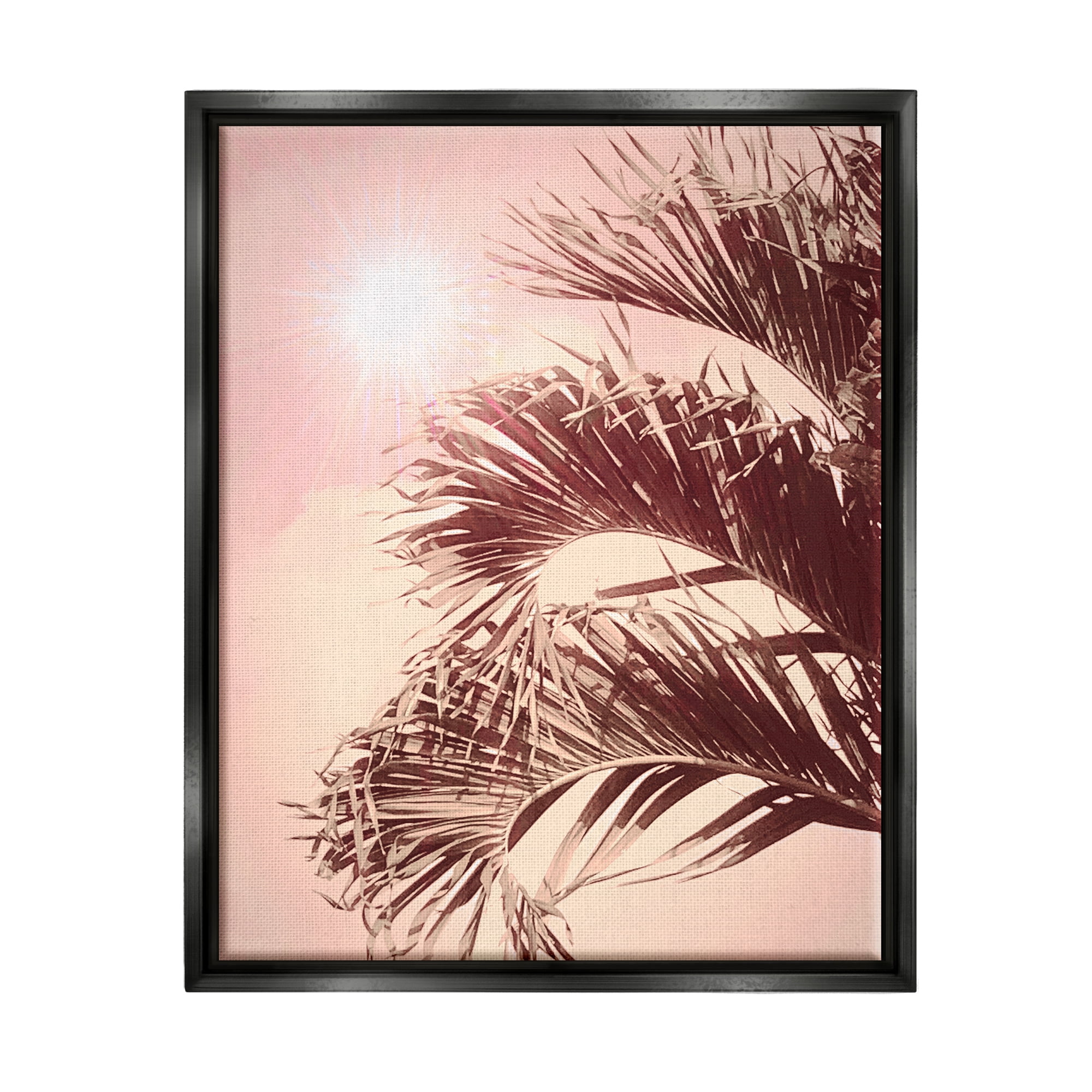 Stupell Industries Sunlit Palms Pink Sky Botanical & Floral Photography Black Floater Framed Art Print Wall Art