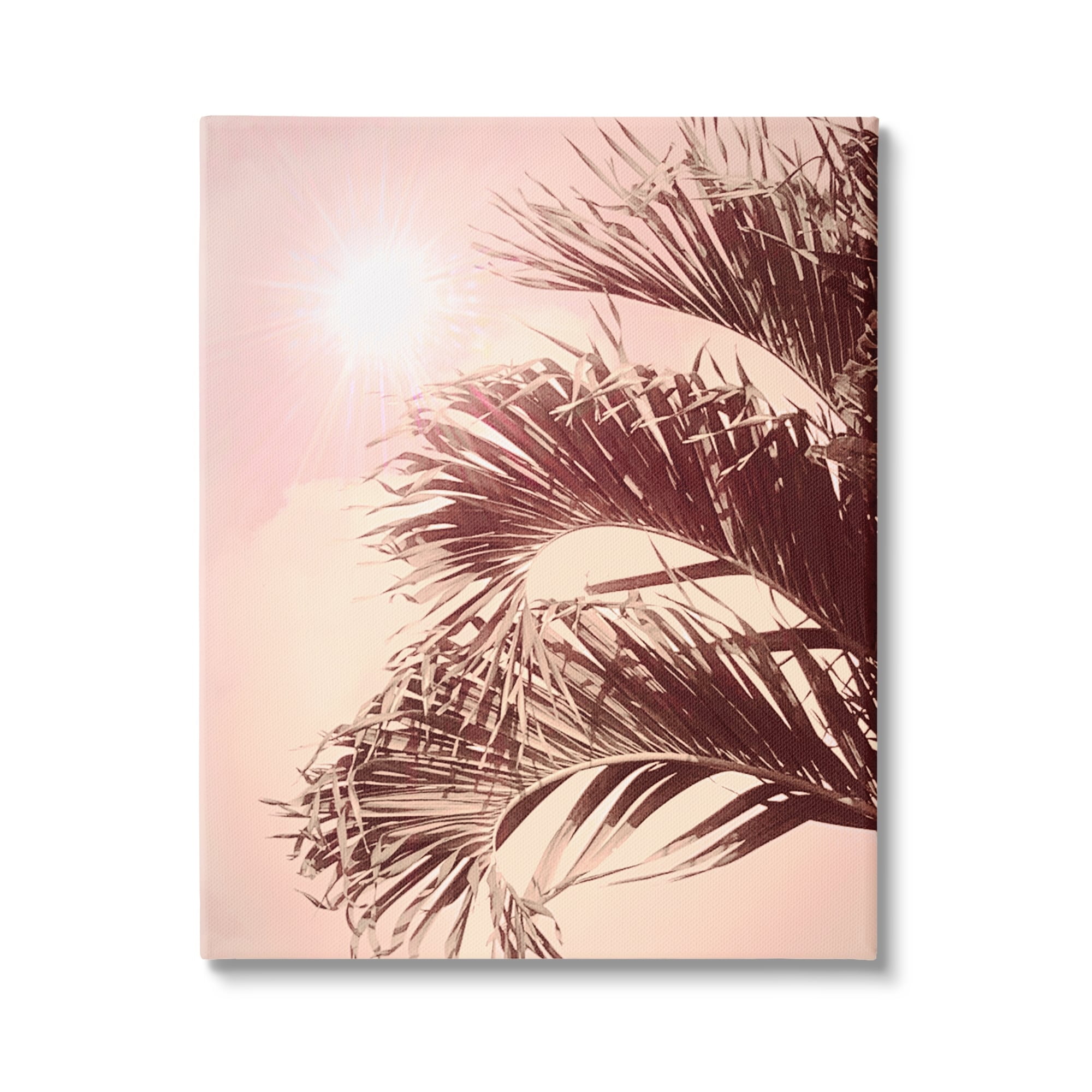 Stupell Industries Sunlit Palms Pink Sky Botanical & Floral Photography Gallery Wrapped Canvas Print Wall Art