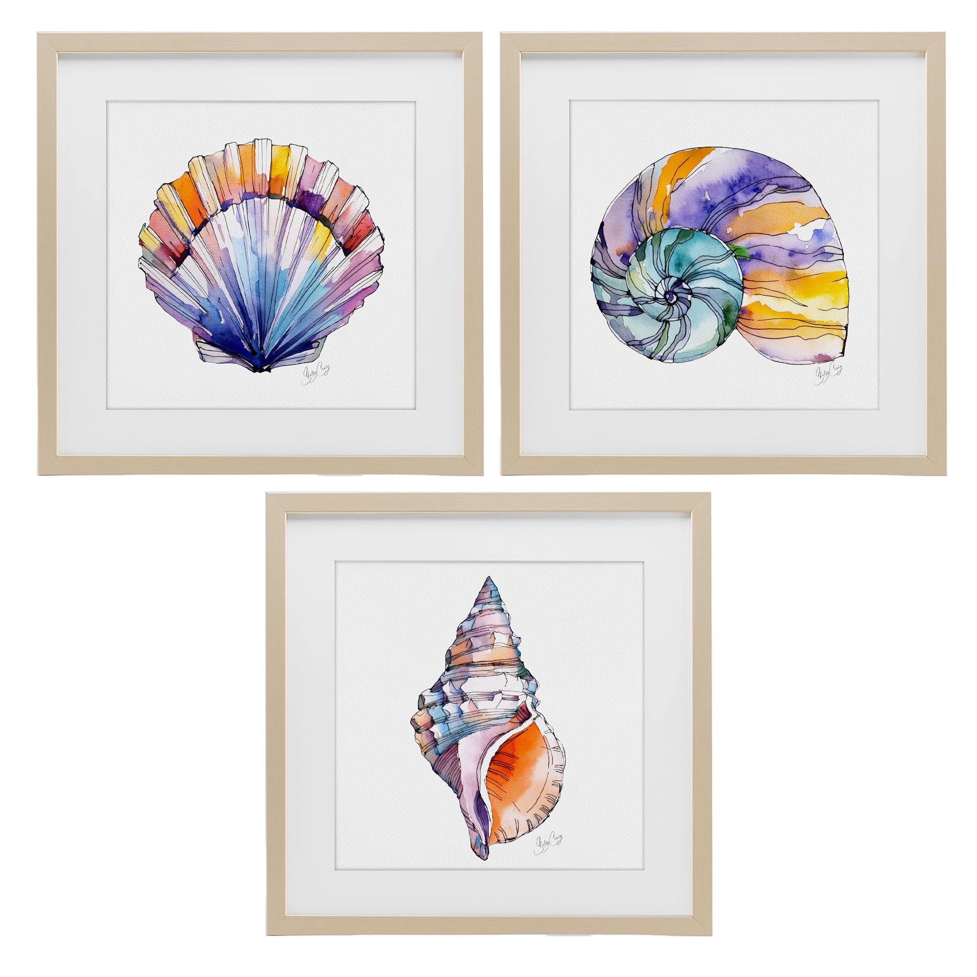 Stupell Industries Sunlit Seashells Watercolors 3 Piece Birch Framed Print Under Glass Set, design by Shelly Craig