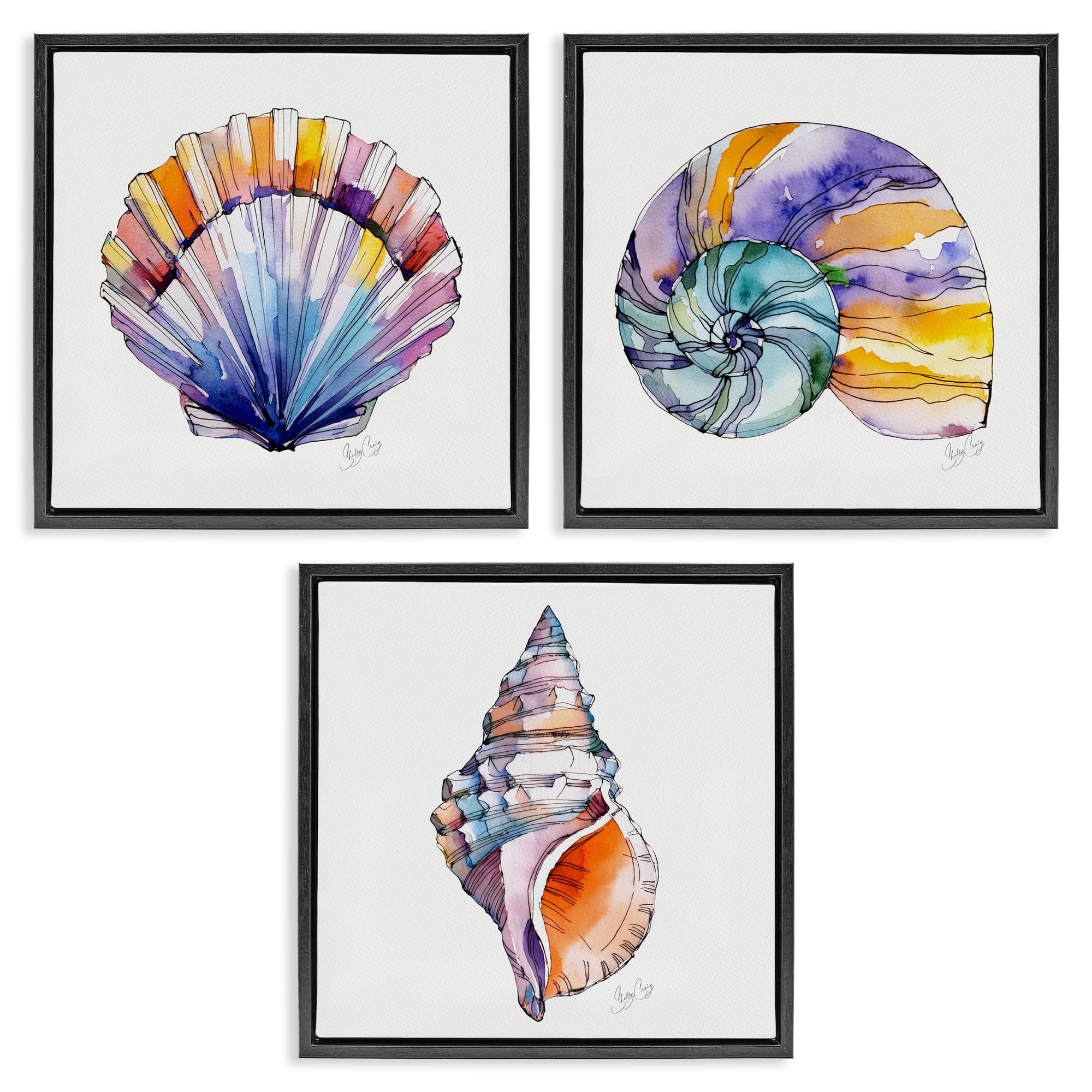 Stupell Industries Sunlit Seashells Watercolors 3 Piece Black Framed Floater Canvas Set, design by Shelly Craig