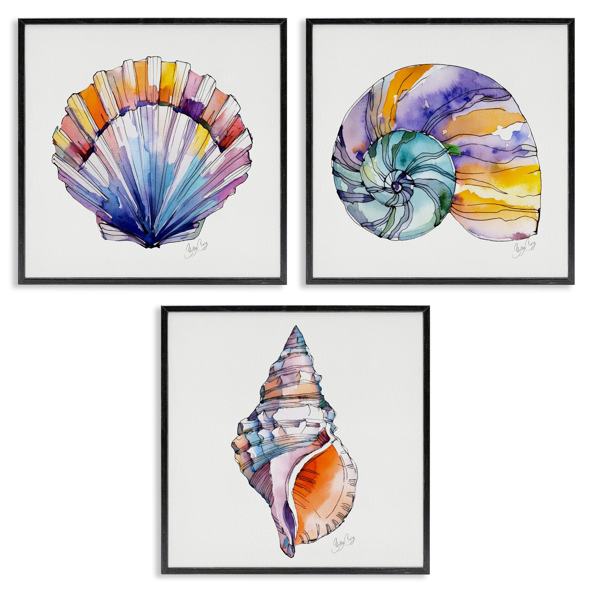 Stupell Industries Sunlit Seashells Watercolors 3 Piece Black Framed Giclee Art Set, design by Shelly Craig