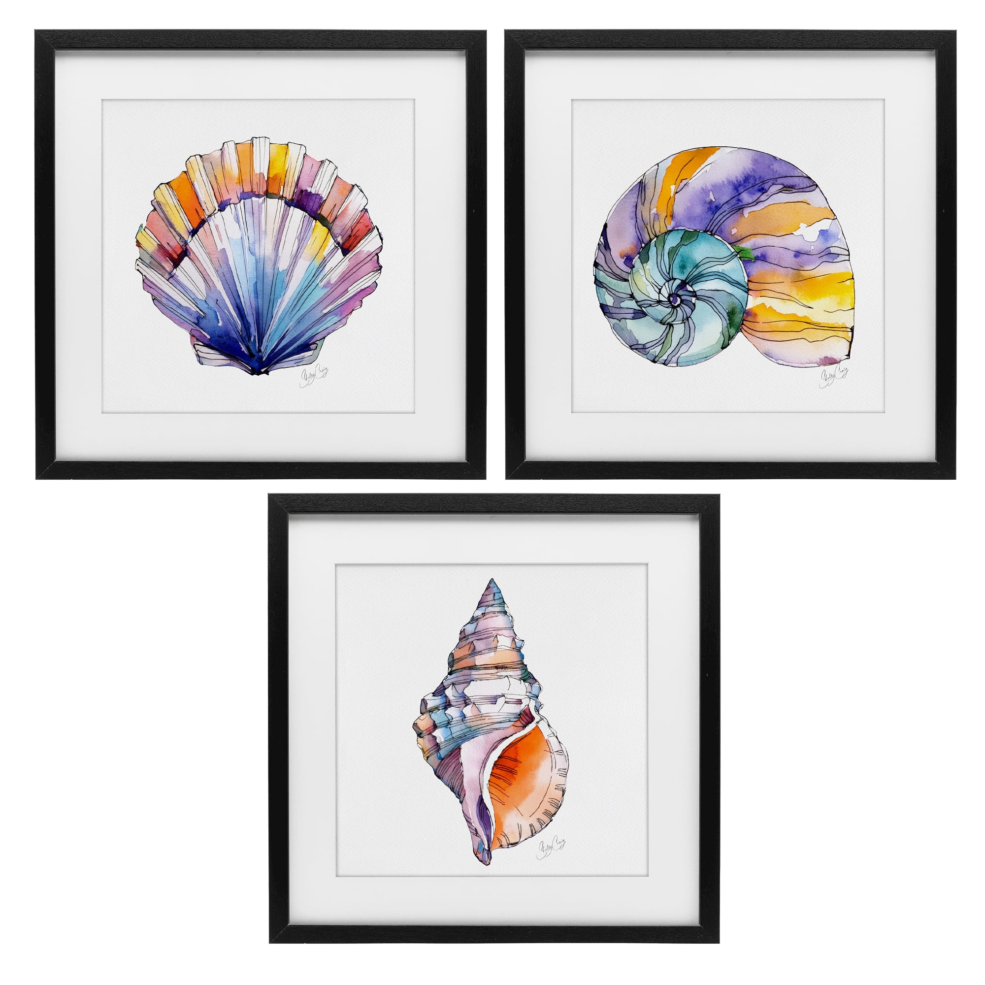 Stupell Industries Sunlit Seashells Watercolors 3 Piece Black Framed Print Under Glass Set, design by Shelly Craig